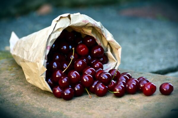 brouwer fruit - kersen verkoop